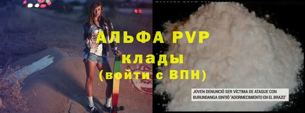 индика Протвино