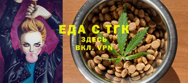 индика Протвино