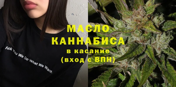 Альфа ПВП Инта