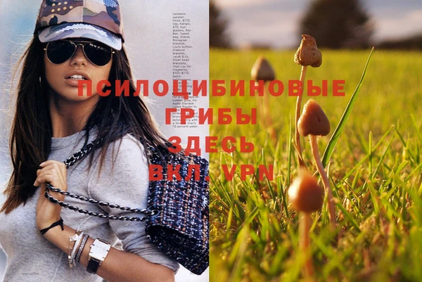 а пвп мука Иннополис