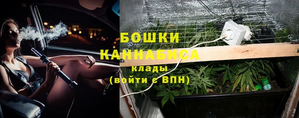 ешки Инсар