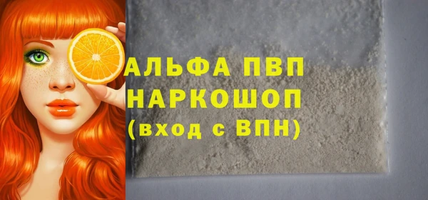 индика Протвино