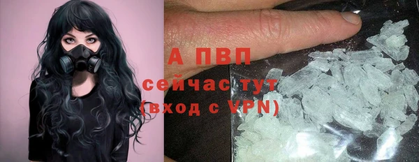 Альфа ПВП Инта