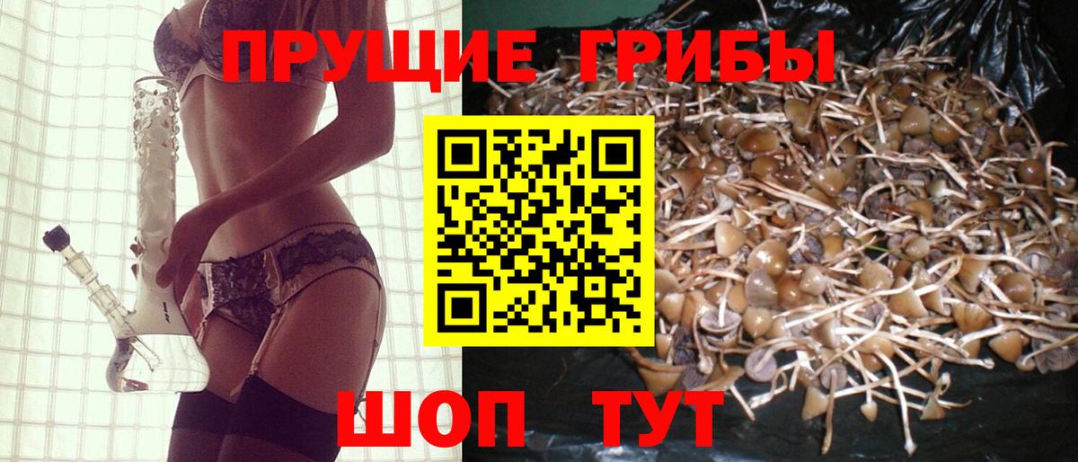 Галлюциногенные грибы Cubensis Углич