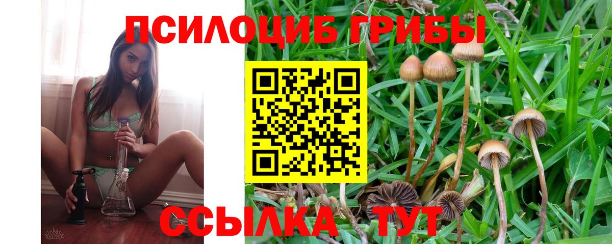 Псилоцибиновые грибы ЛСД  Галлюциногенные грибы GOLDEN TEACHER  Вход с VPN  Углич 