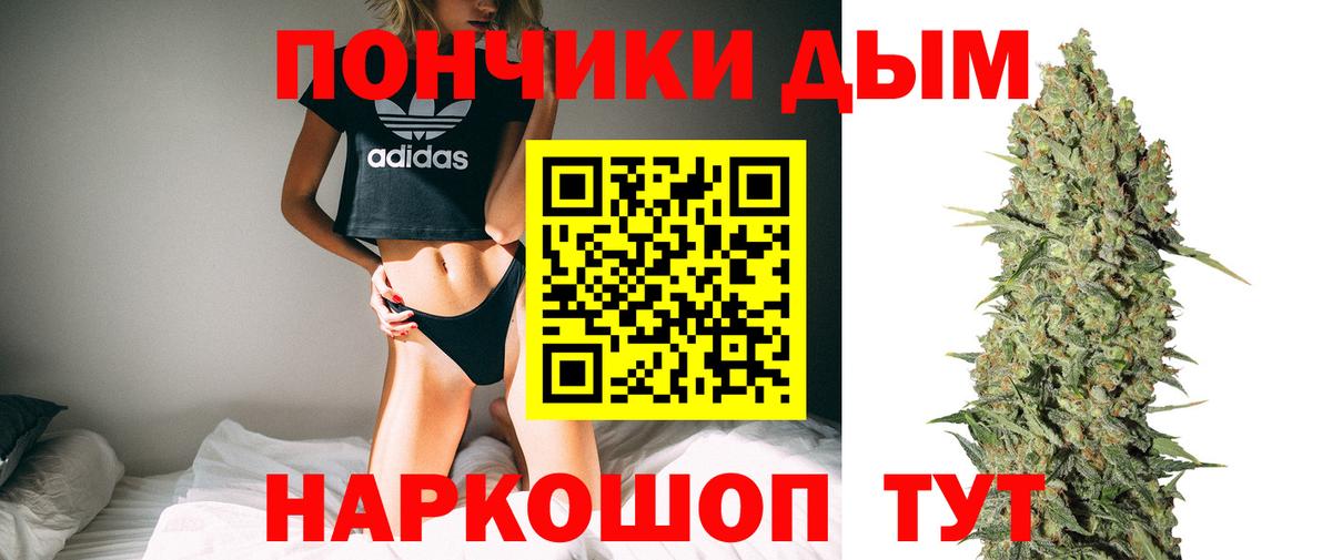 Канабис сатива Углич